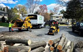 Lawn Irrigation Installation and Maintenance in Seaside Heights, NJ