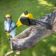 Best Leaf Removal  in Seaside Heights, NJ